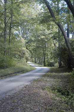 Mountain Laurel Retreat