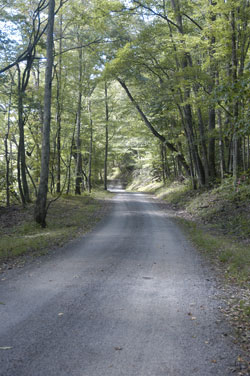 Mountain Laurel Retreat