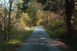 Mountain Laurel Retreat