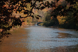 Mountain Laurel Retreat