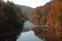 Mountain Laurel Retreat