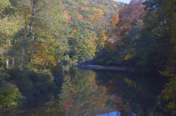 Mountain Laurel Retreat