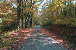 Mountain Laurel Retreat
