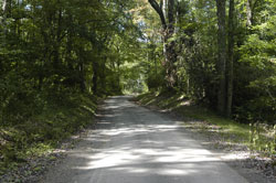 Mountain Laurel Retreat