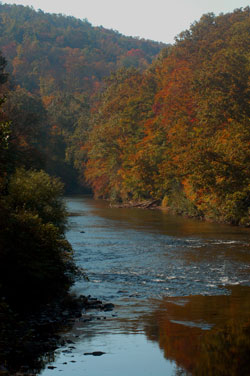 Mountain Laurel Retreat