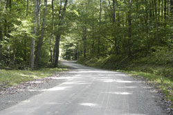 Mountain Laurel Retreat