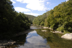 Mountain Laurel Retreat