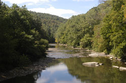 Mountain Laurel Retreat