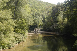 Mountain Laurel Retreat