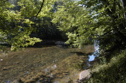 Mountain Laurel Retreat