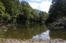Mountain Laurel Retreat